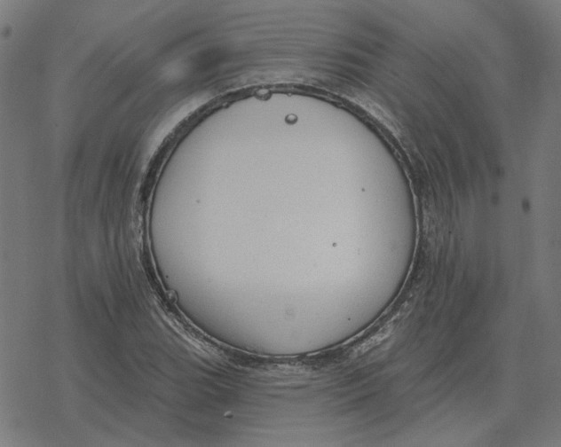 X0000077321119200611101451