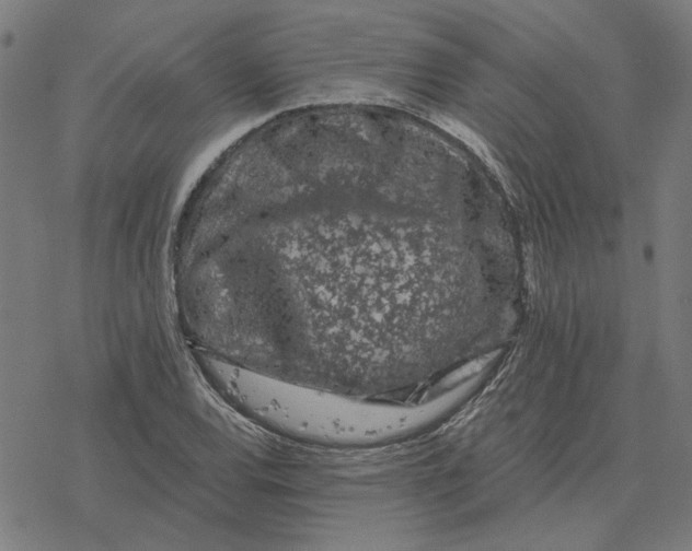 X0000077321120200611101451