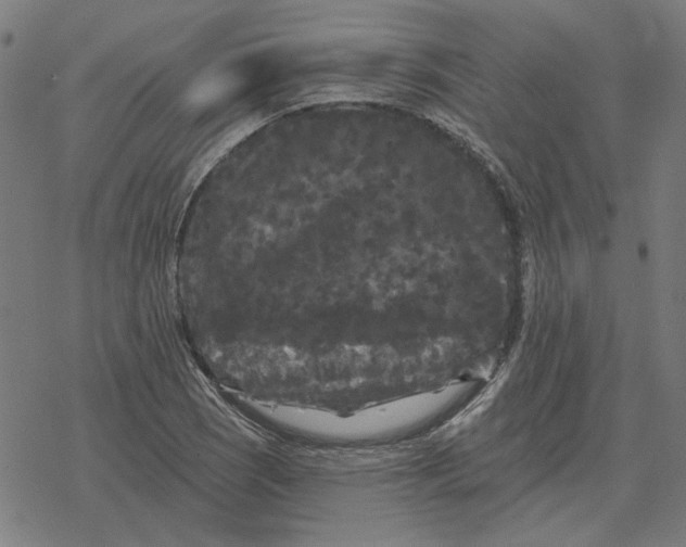 X0000077321121200611101451