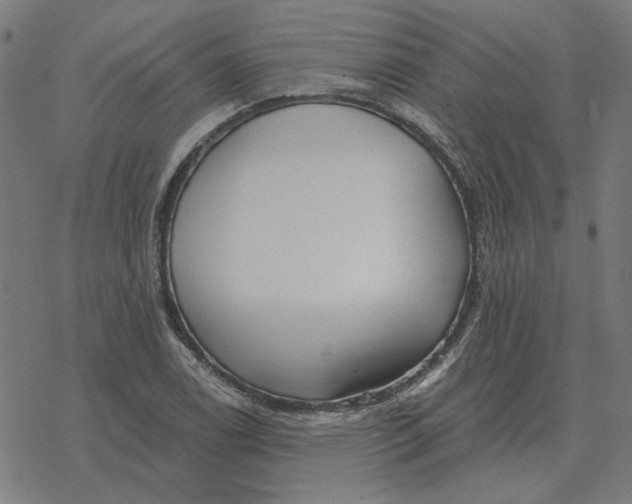 X0000077321122200611101451