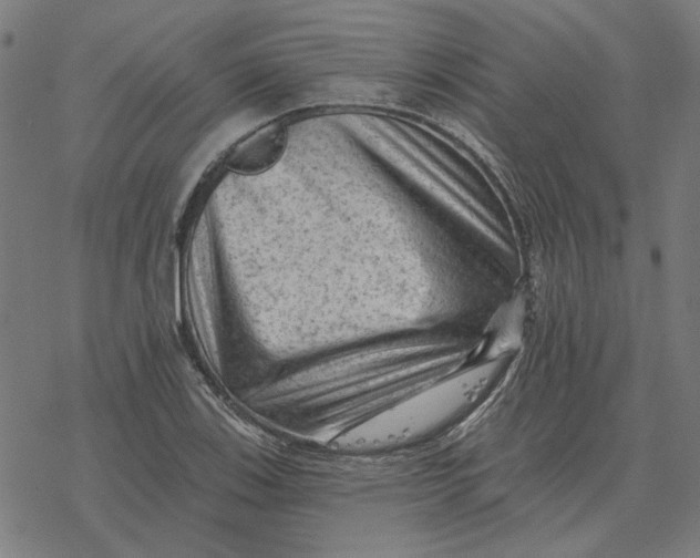 X0000077321123200611101451