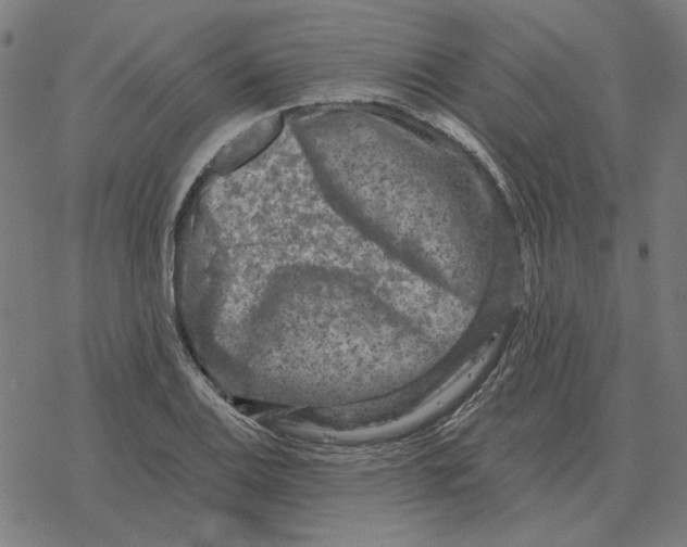 X0000077321124200611101451