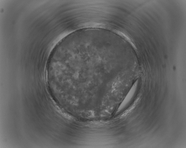 X0000077321125200611101451