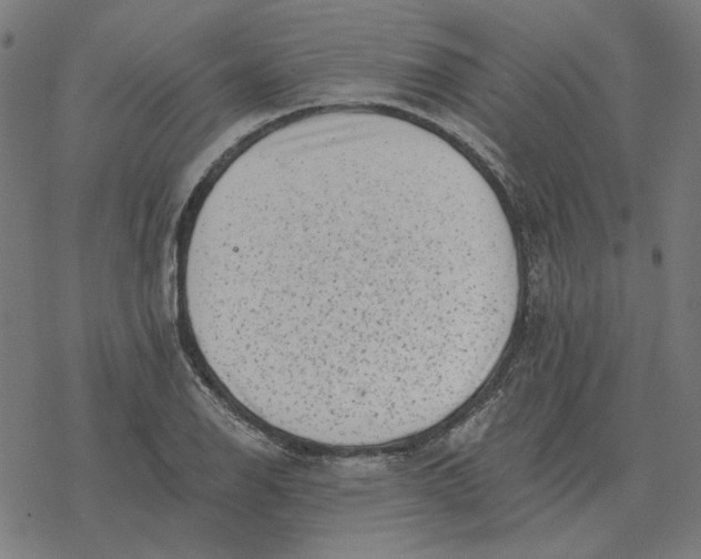 X0000077321126200611101451