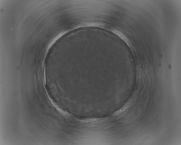 X0000077321127200611101451