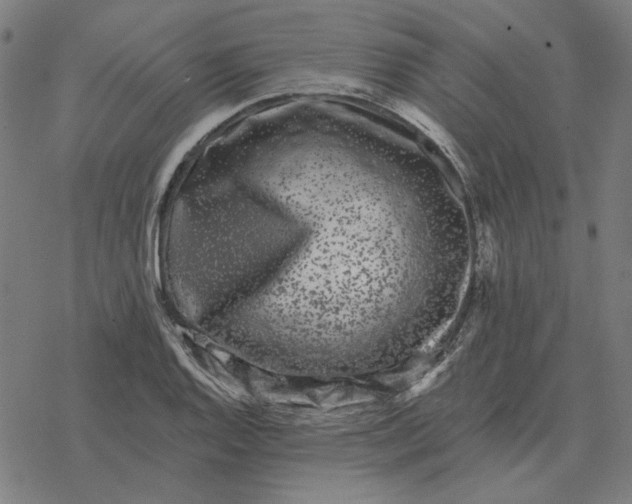 X0000077321128200611101451