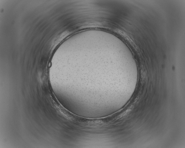 X0000077321129200611101451