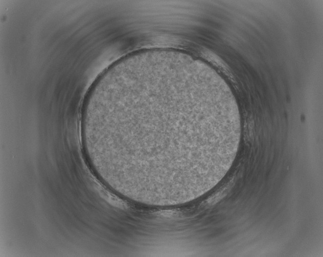 X0000077321130200611101451