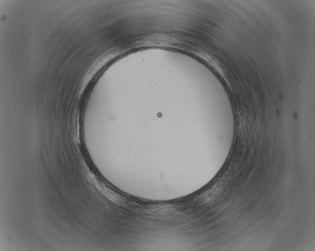 X0000077321131200611101451