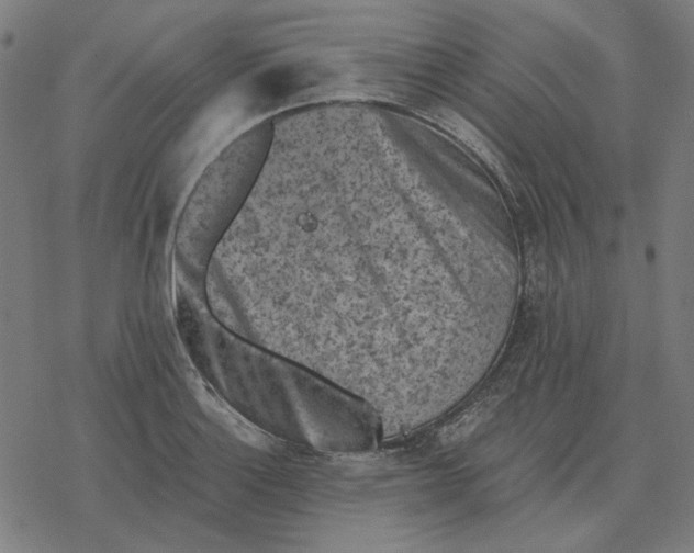 X0000077321132200611101451