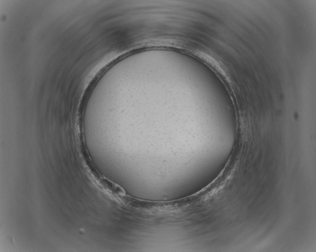 X0000077321133200611101451