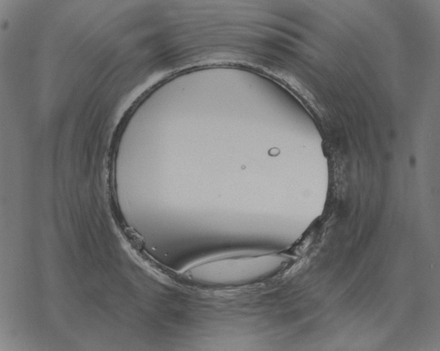 X0000077321134200611101451