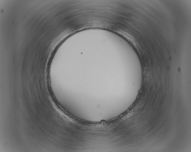 X0000077321135200611101451