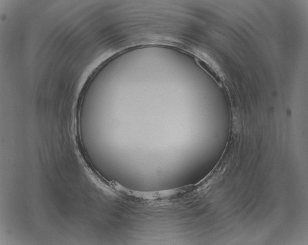 X0000077321136200611101451