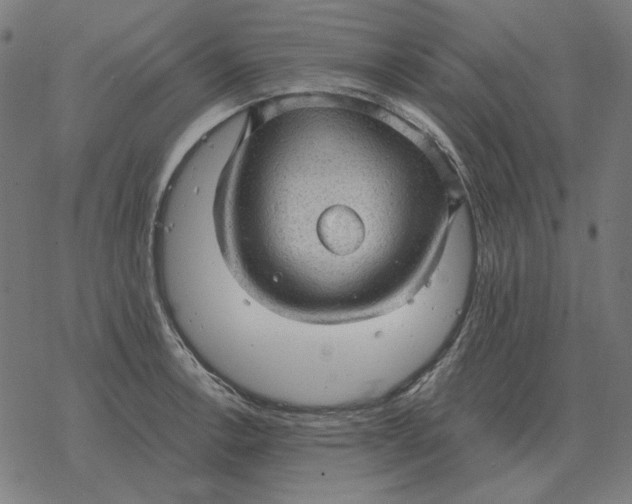 X0000077321138200611101451