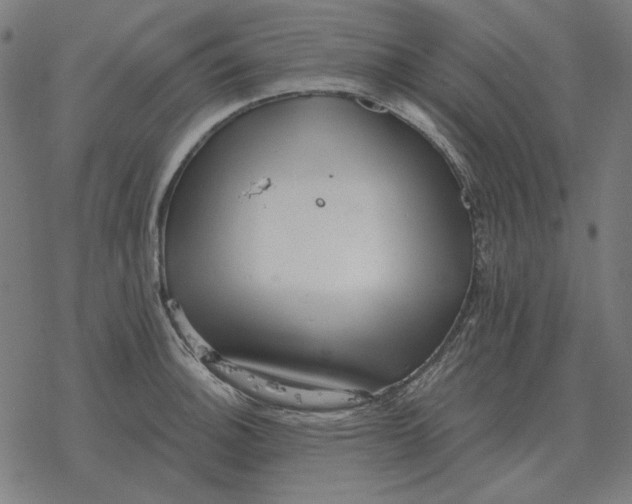 X0000077321140200611101451