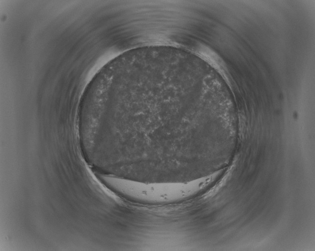 X0000077321141200611101451