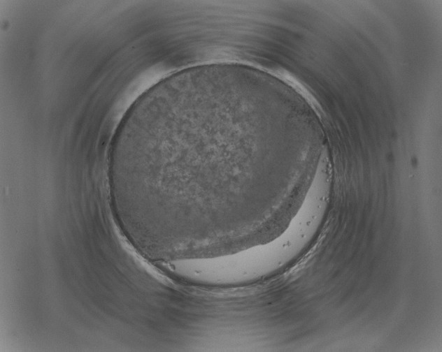 X0000077321142200611101451