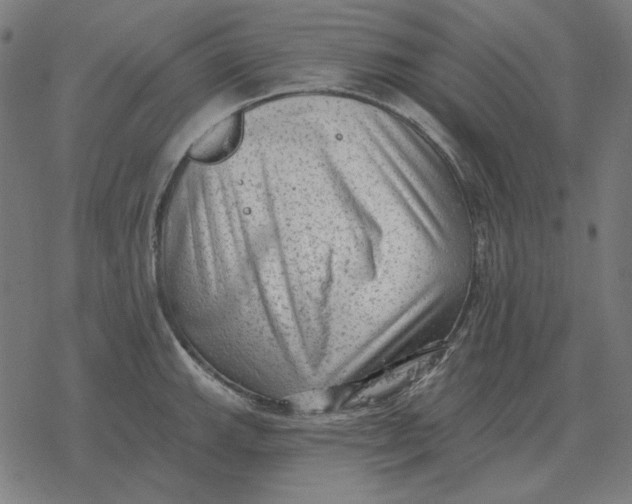 X0000077321143200611101451