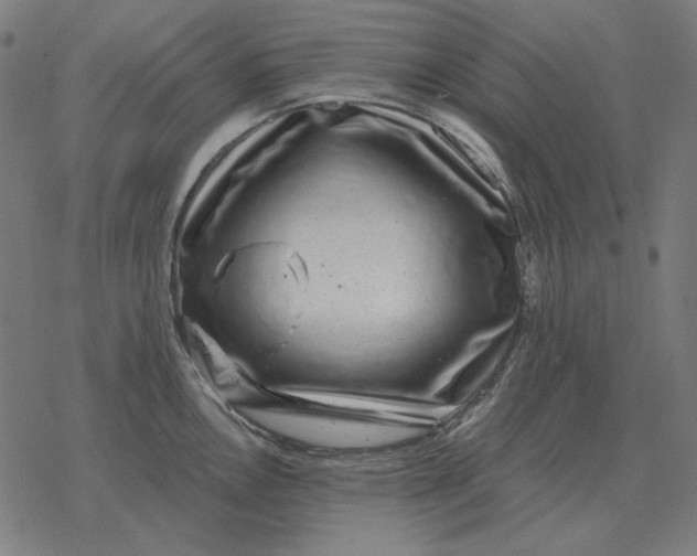 X0000077321146200611101452