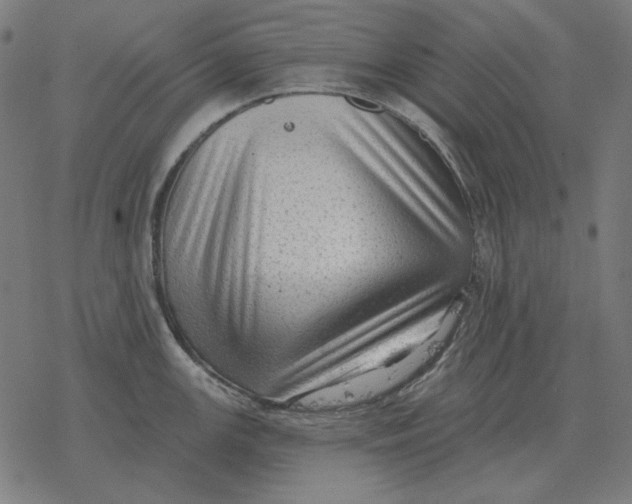 X0000077321147200611101452