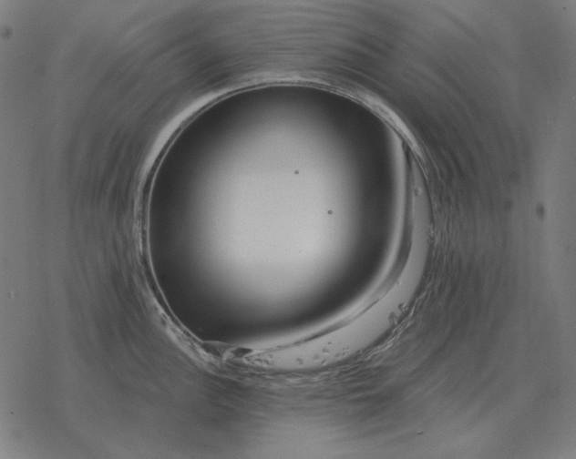 X0000077321148200611101452