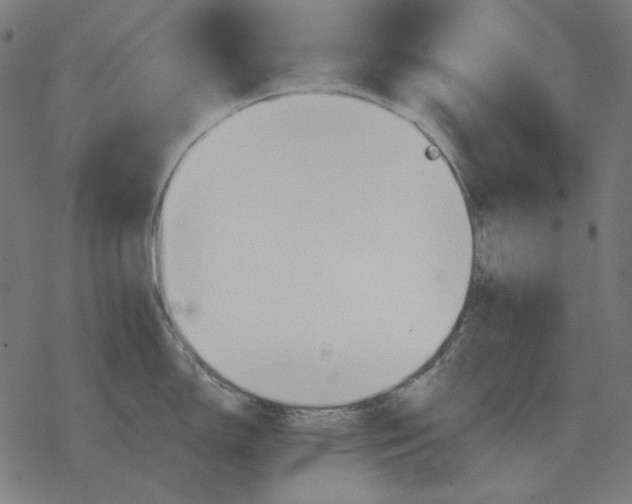 X0000077321150200611101452