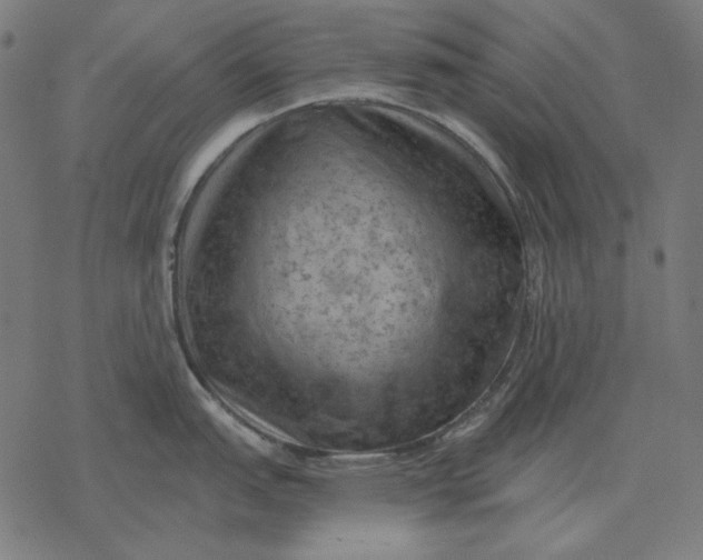 X0000077321151200611101452