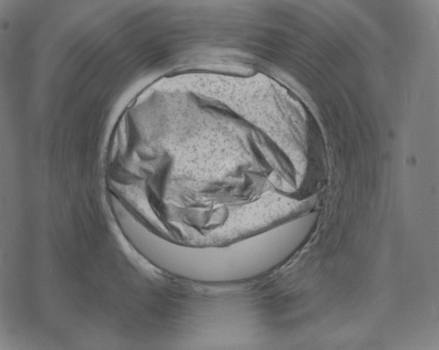 X0000077321152200611101452