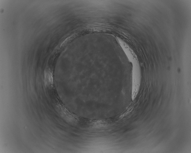 X0000077321155200611101451