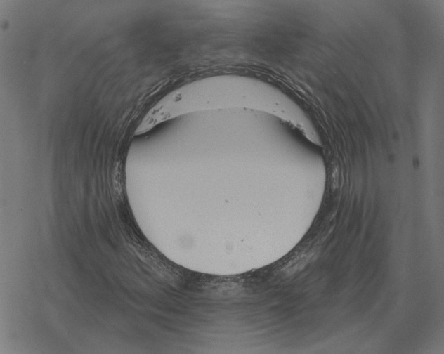 X0000077321156200611101451