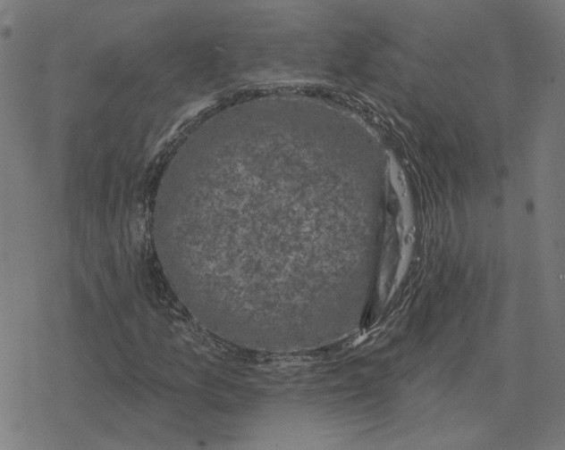 X0000077321157200611101451