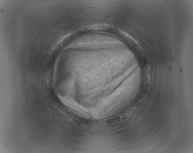 X0000077321158200611101451