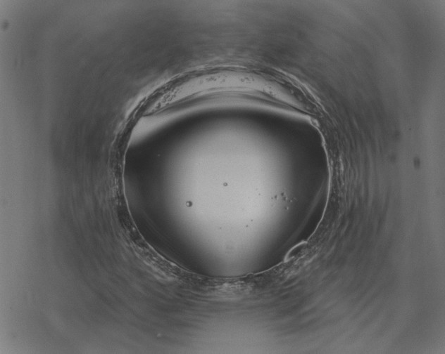 X0000077321160200611101451