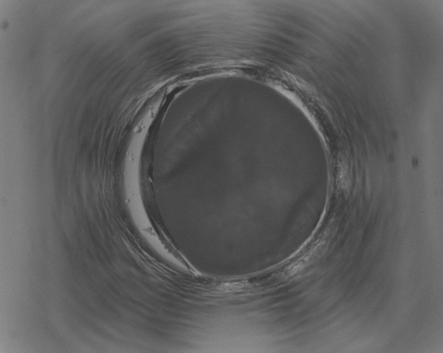 X0000077321161200611101451