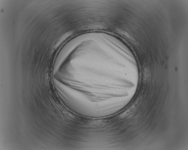 X0000077321162200611101451