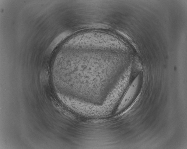 X0000077321163200611101451