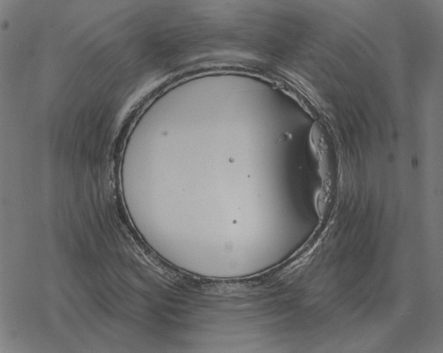 X0000077321164200611101451