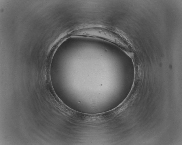 X0000077321165200611101451