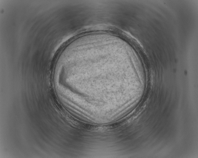 X0000077321166200611101451