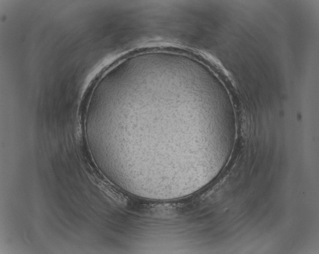 X0000077321167200611101451