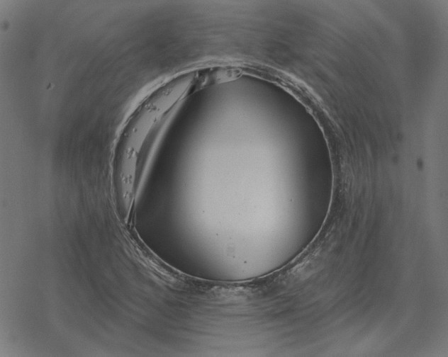 X0000077321168200611101451