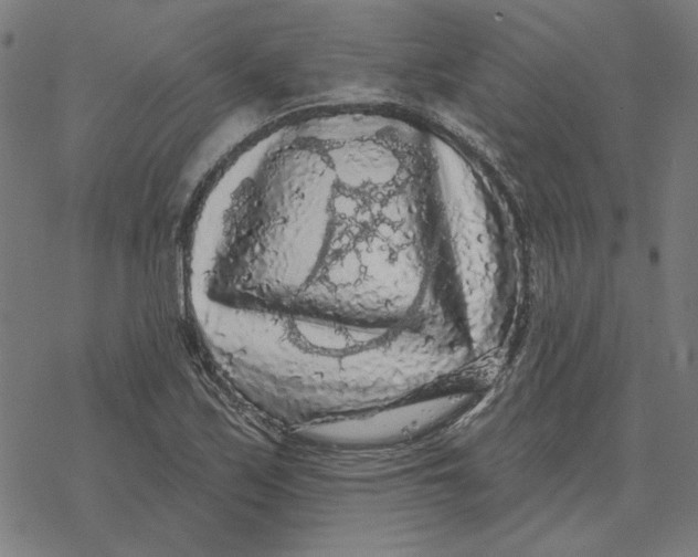 X0000077321171200611101451