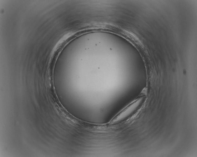 X0000077321172200611101451