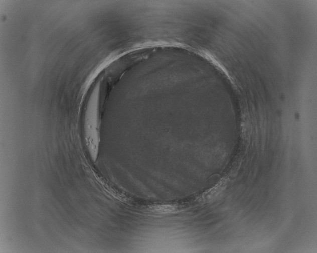 X0000077321173200611101451