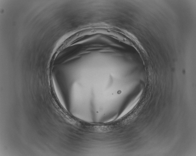 X0000077321176200611101450