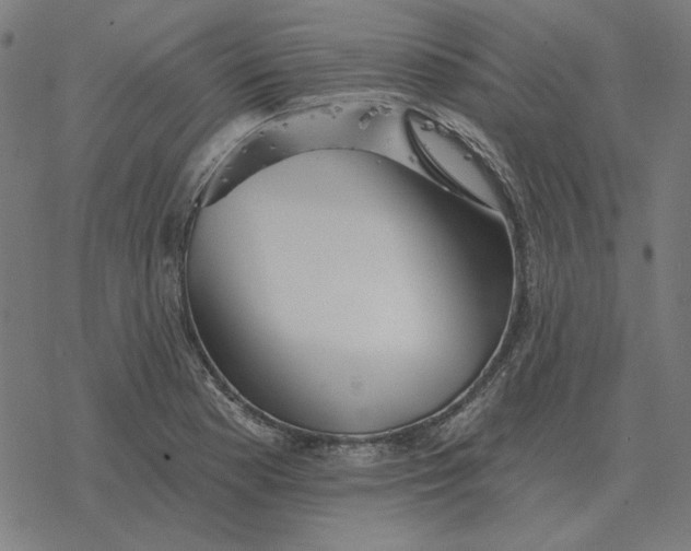 X0000077321177200611101450