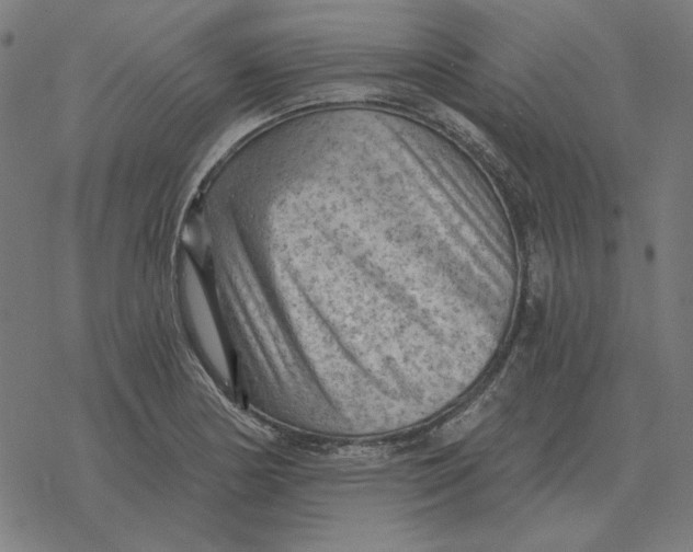 X0000077321178200611101450