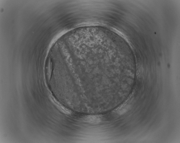 X0000077321179200611101450