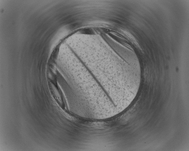 X0000077321180200611101450